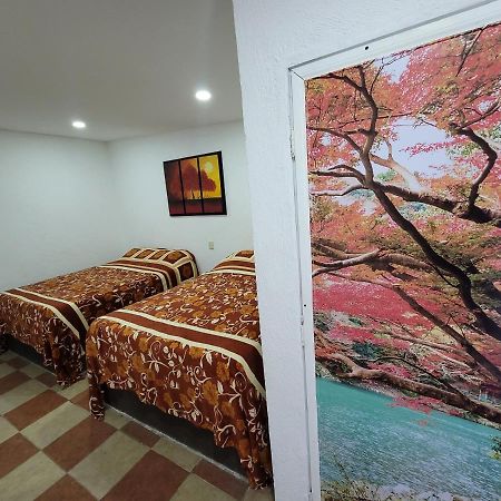 Hotel Vicalis San Juan Teotihuacán Zewnętrze zdjęcie