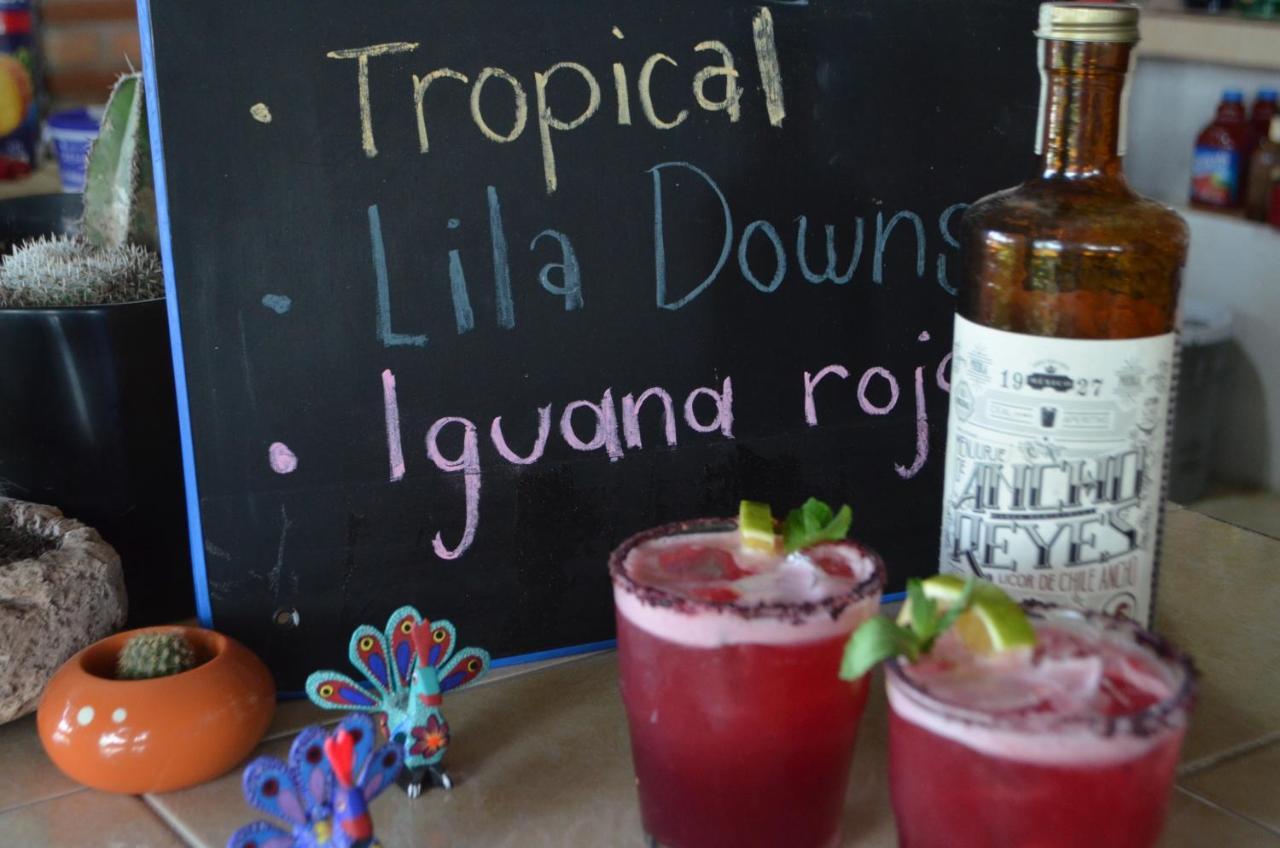 Hotel Vicalis San Juan Teotihuacán Zewnętrze zdjęcie