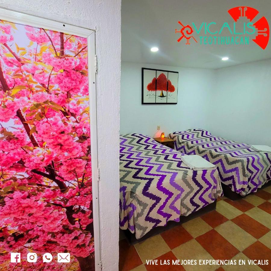Hotel Vicalis San Juan Teotihuacán Zewnętrze zdjęcie
